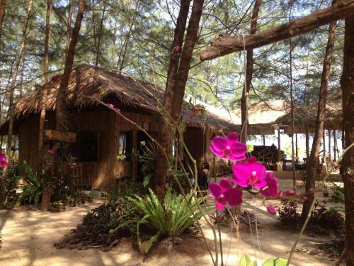 Hapla Beach Cottage