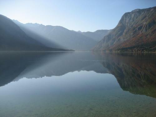 Apartment In Chalet Bohinj