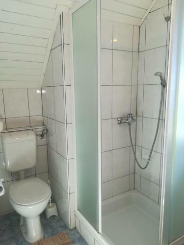 Apartment In Chalet Bohinj
