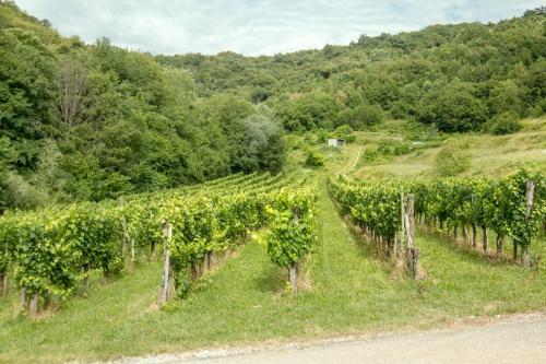 Agroturismo Turisti?na Kmetija ?tanfel