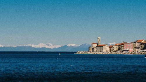 Katarina Apartment Piran
