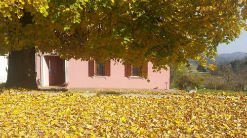Agroturismo Merke? Guest House