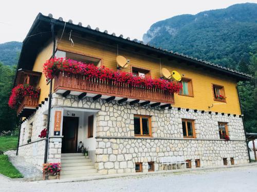 Hostal House Berdnik