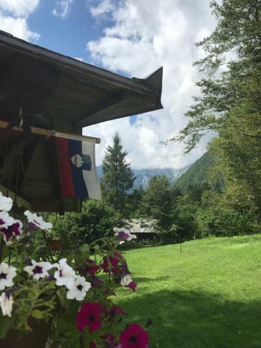 Hostal House Berdnik