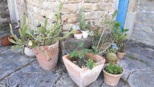 Apartamento Relax Country Haus Laguna 96
