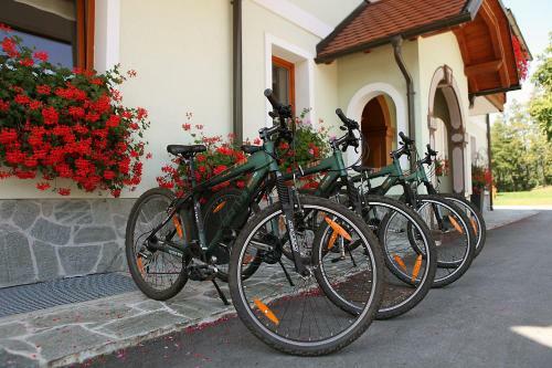 Hostal Pension T�r�k