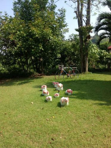 Hotel Klongsai Hills