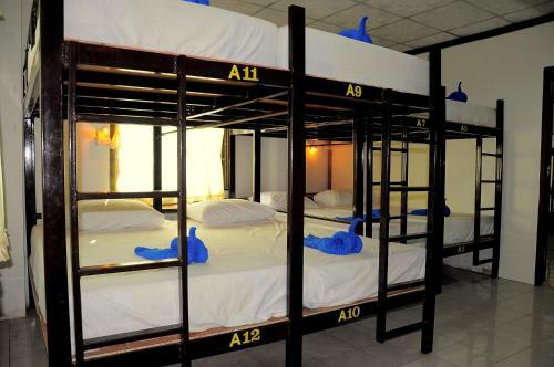Mickey Hostel