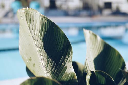 Hotel Wannachart Boutique Resort