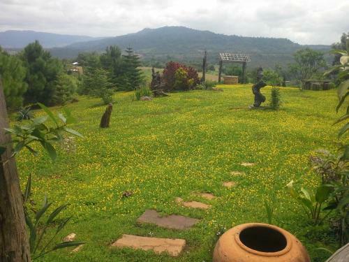 Baan Ing Phu