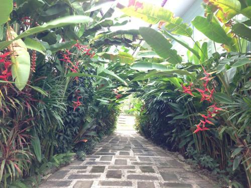 Hotel Watermill Resort