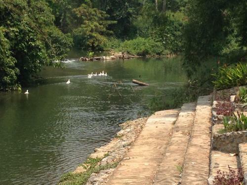 Hotel Watermill Resort