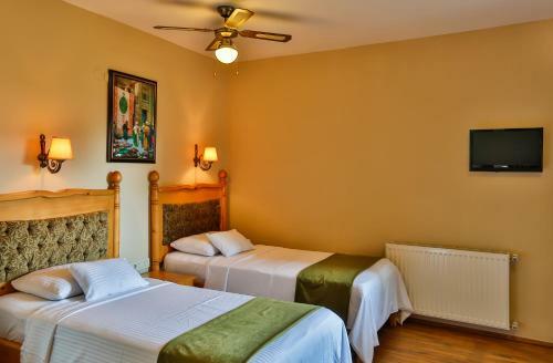 Palace Hotel Olive Odore