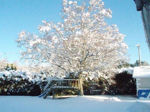 Birchdale House B&B