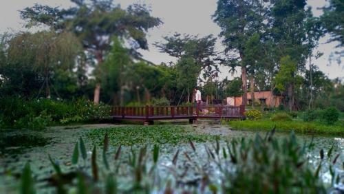 Amrita Green Retreat