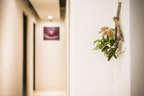 Agroturismo Tiin Tinn - Rivershore B&B