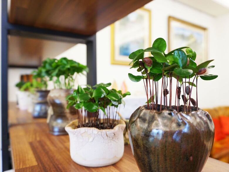 Pottery Flower B&B