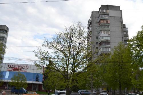 Apartlux Chernigov