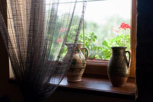 Hostal Polychka Winehouse