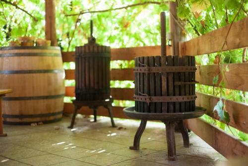 Hostal Polychka Winehouse