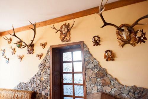 Hostal Polychka Winehouse