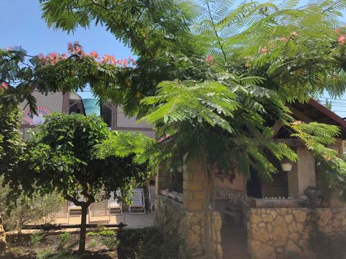 Hotel Villa Grande
