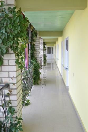 Hotel Vip-town
