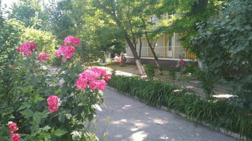 Hotel Sun Marine