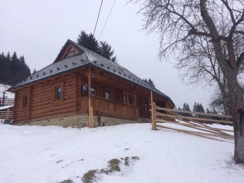 Eco Cottage Familniy