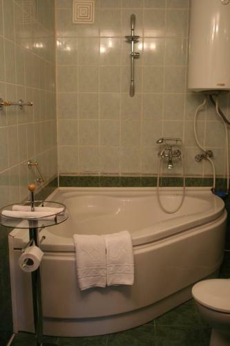 Hotel Medzhybozhskiy Zamok