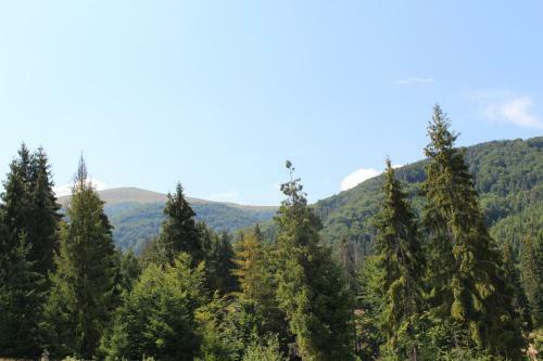 Hotel Goryanyn