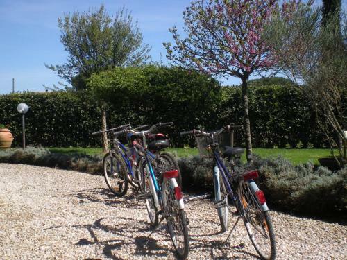 Agroturismo Holiday Home Sole Luna Grosseto