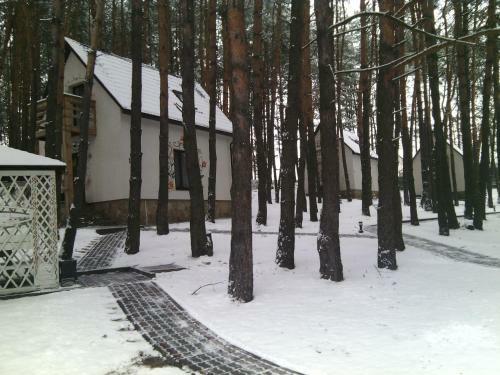 Posada Hotel Dzherela