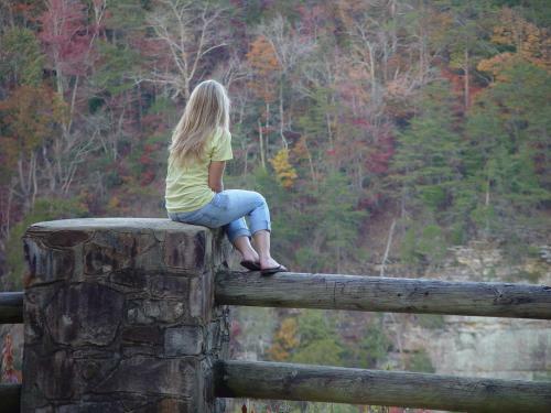 The Refuge