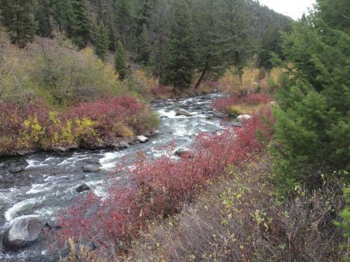 Boulder Creek Lodge