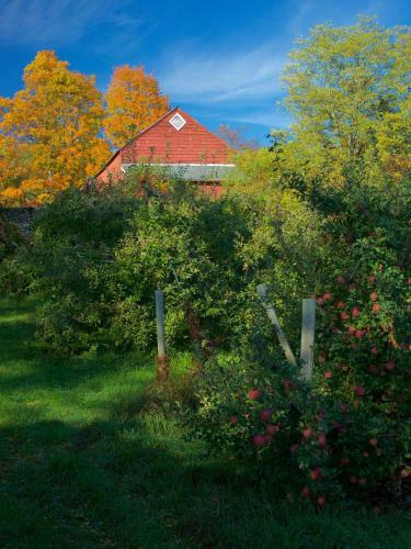Danskammer House Bed & Breakfast