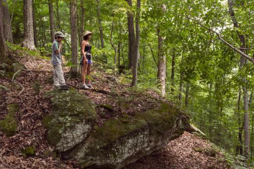 Dale Hollow Lake State Resort Park