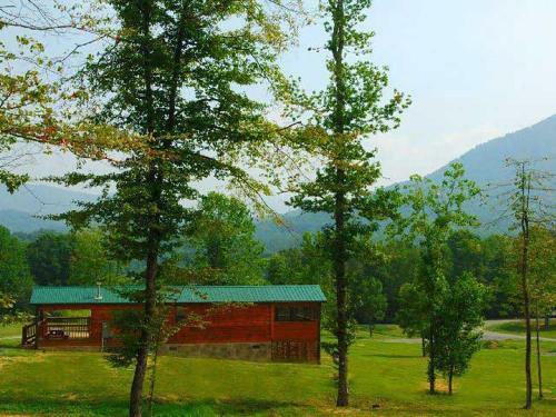 Almost Camping Too Cabin