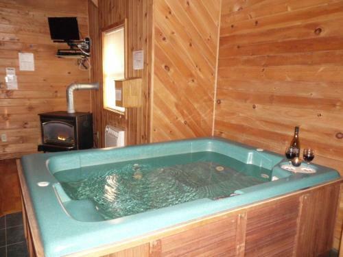 Hotel Bear Den Mountain Resort