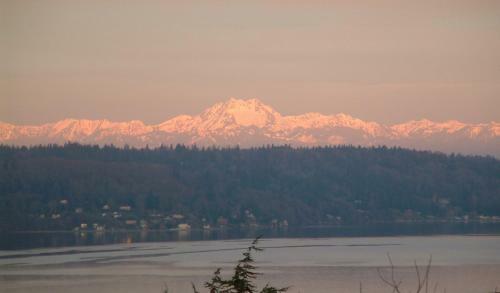 Three Tree Point Bed And Breakfast
