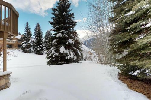 Baldy View Snowcreek
