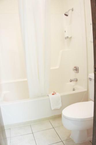 Hotel Lakes Inn