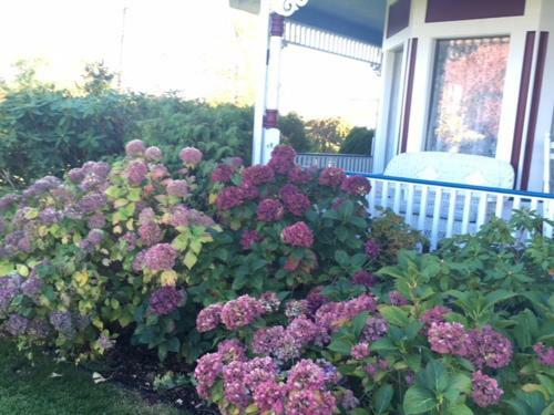Sundara West B&B
