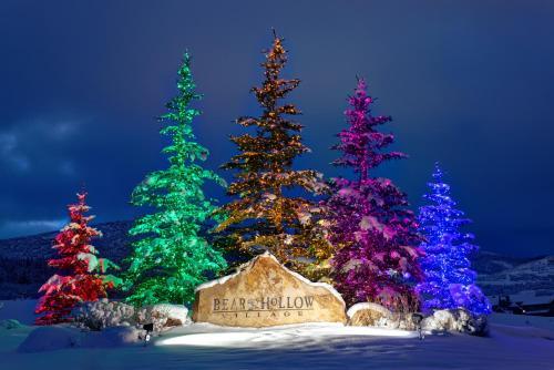 Park City Paradise