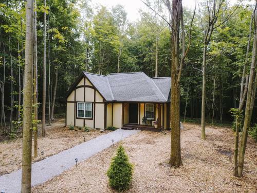 Lodge Vineyard Woods