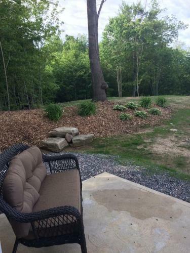Lodge Vineyard Woods