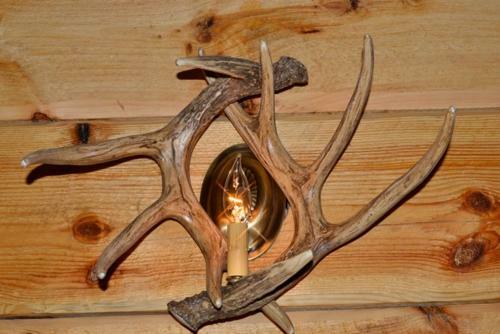 Rustic Cabin Rental
