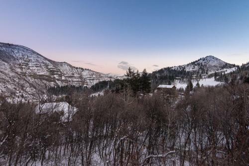 Skydance Cabin