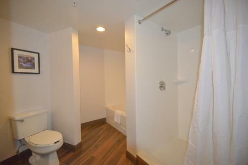 Hotel Hampton Inn Salem East - Electric Road
