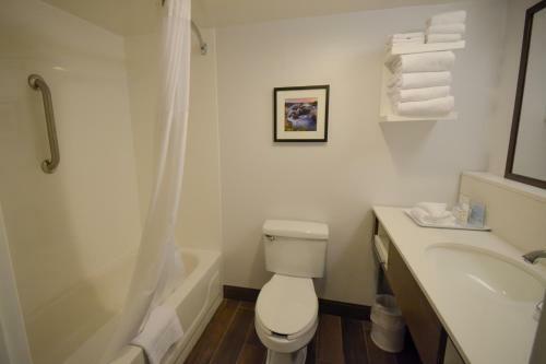 Hotel Hampton Inn Salem East - Electric Road